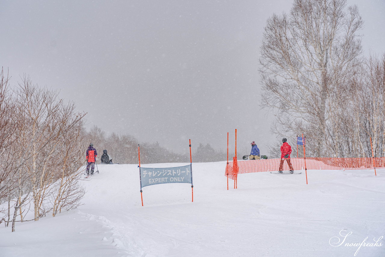 札幌国際スキー場　街は雨でも、山は雪！広々ゲレンデに思う存分シュプールを描こう(^^)/